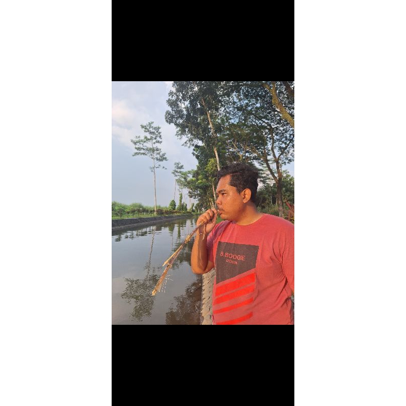 mesin-penggiling-tebu-manual