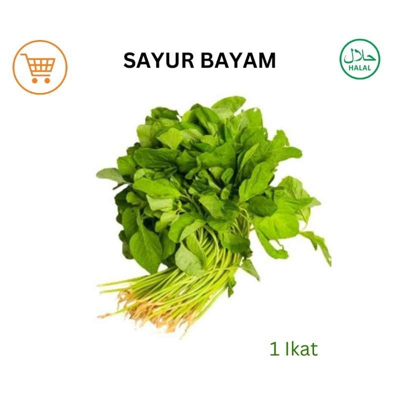 

Sayur Bayam hijau | 1 Ikat