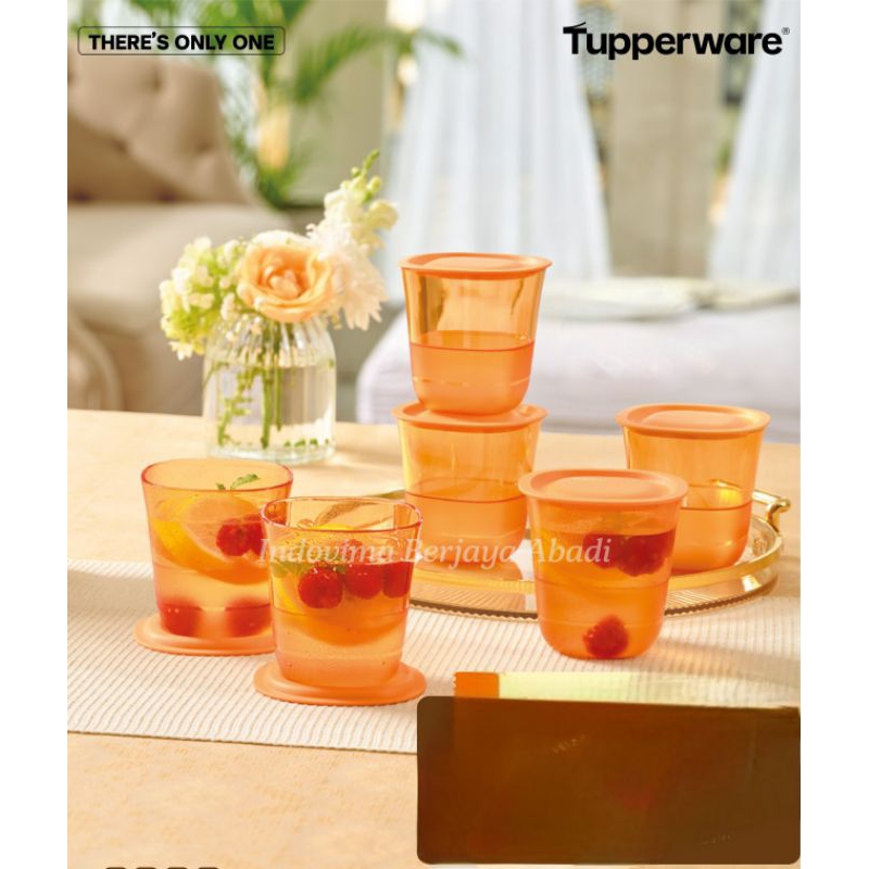 Crystalline Low Glass 6pcs