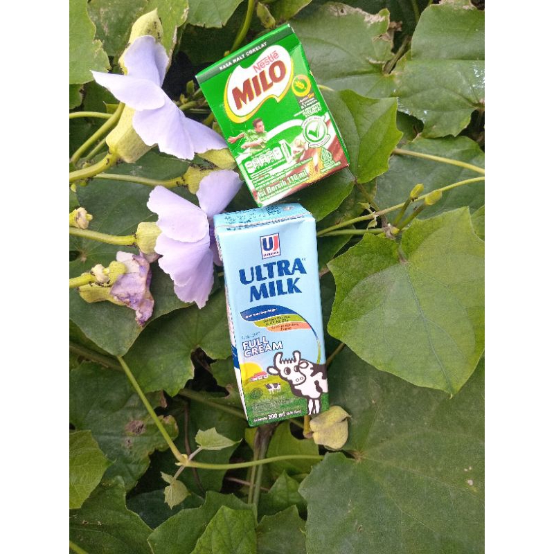 

susu/ultramilk/milo