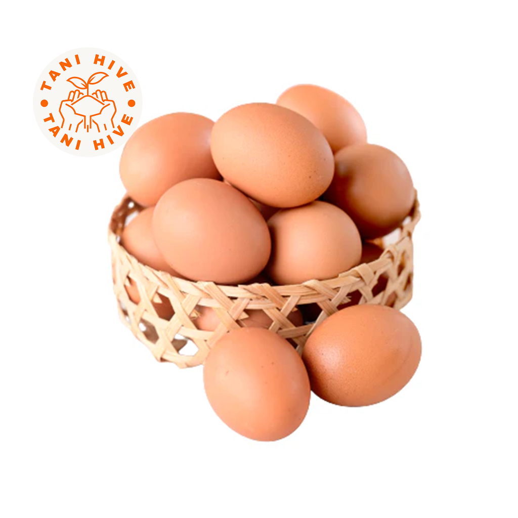 

telur ayam 1kg