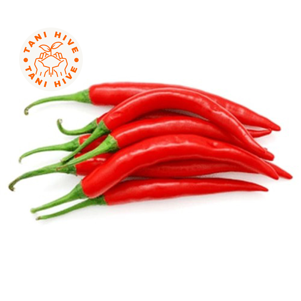 

cabe merah besar 1kg
