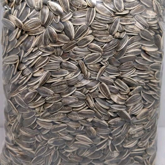 

KWACI BIJI BUNGA MATAHARI KULIT 1 KG