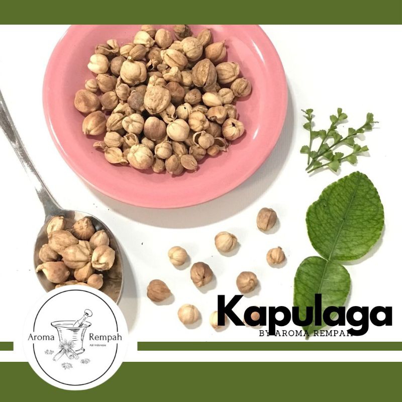 

Kapulaga jawa / Kapulaga lokal / Cardamon - asli tanpa pemutih 100% murni