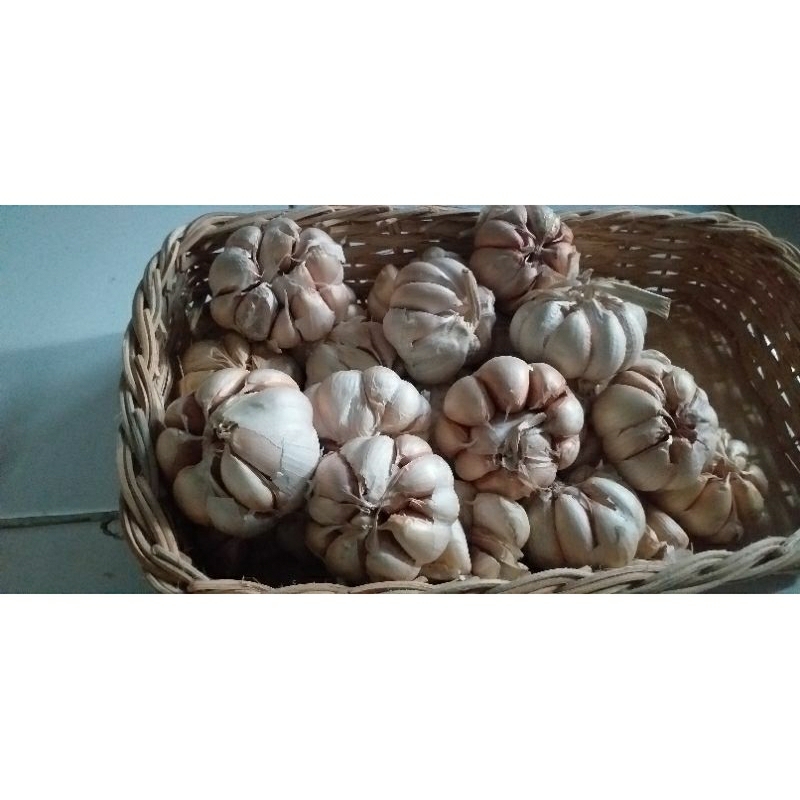 

Bawang Putih berat 1kg