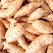 

ubi Cilembu putih 1 kg