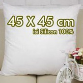 V44859 PAS ONLINE  BANTAL SOFA 45 x 45