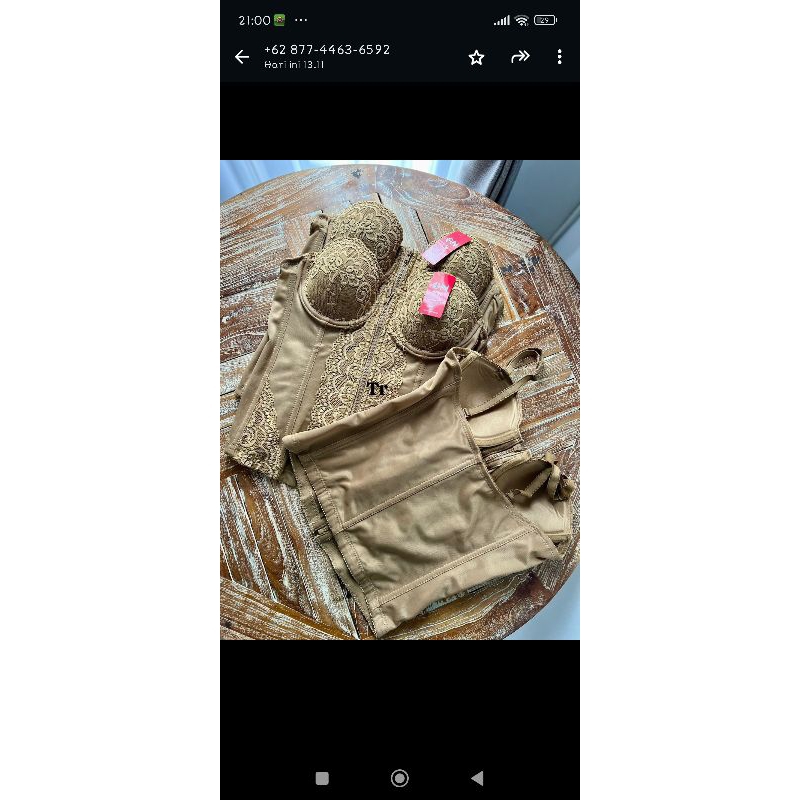 LONGTORSO GOLDEN NICK