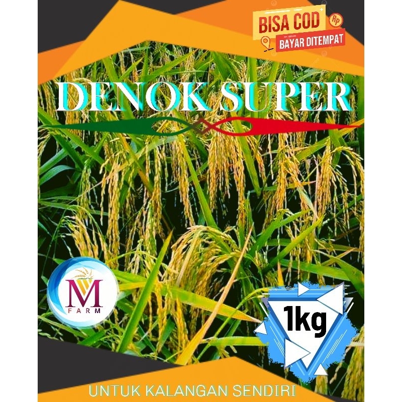 benih padi denok super kemasan 1kg