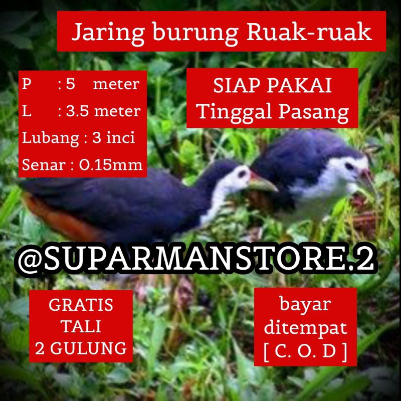 JARING RUAK-RUAK 5 METER JARING RUAK-RUAK 5X3 M JALA BURUNG JEBAKAN RUAK-RUAK JALA JEBAKAN BURUNG AY