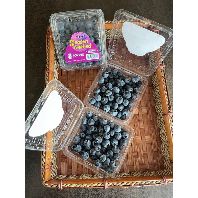 

DUTA BUAH SBY Blueberry - 1 Pack (125g - 250g)