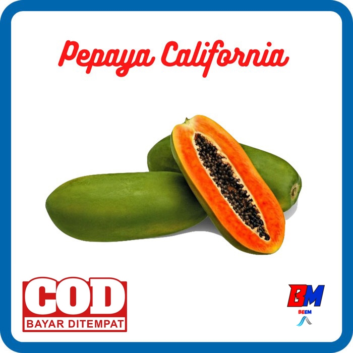 

pepaya california 1 kg fresh segar
