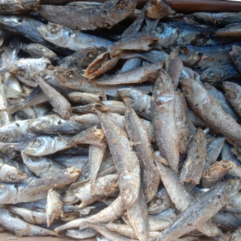 

Ikan Asin Layang Rebus 600 Gram Campur | Hasil Lampung