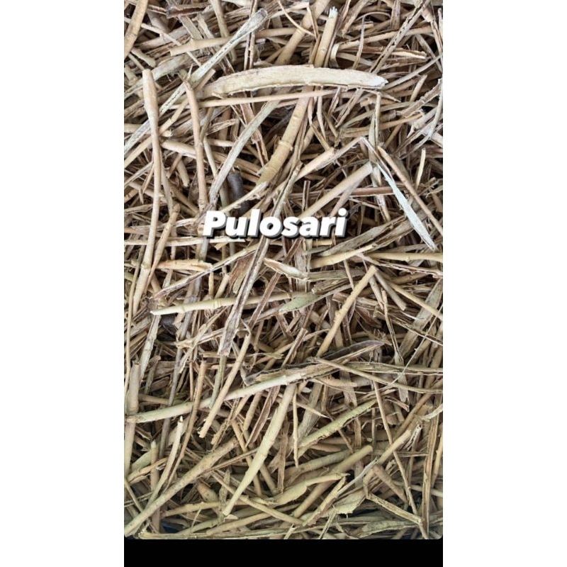 

PULO SARI ASLI 1KG
