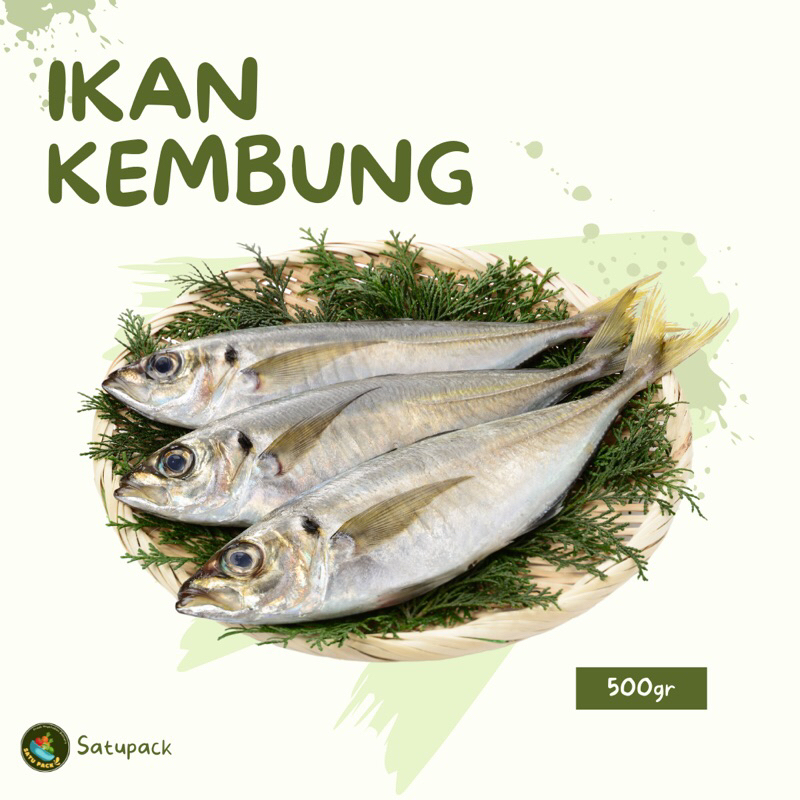 

IKAN KEMBUNG SEGAR SUDAH BERSIH- 250gr 500gr