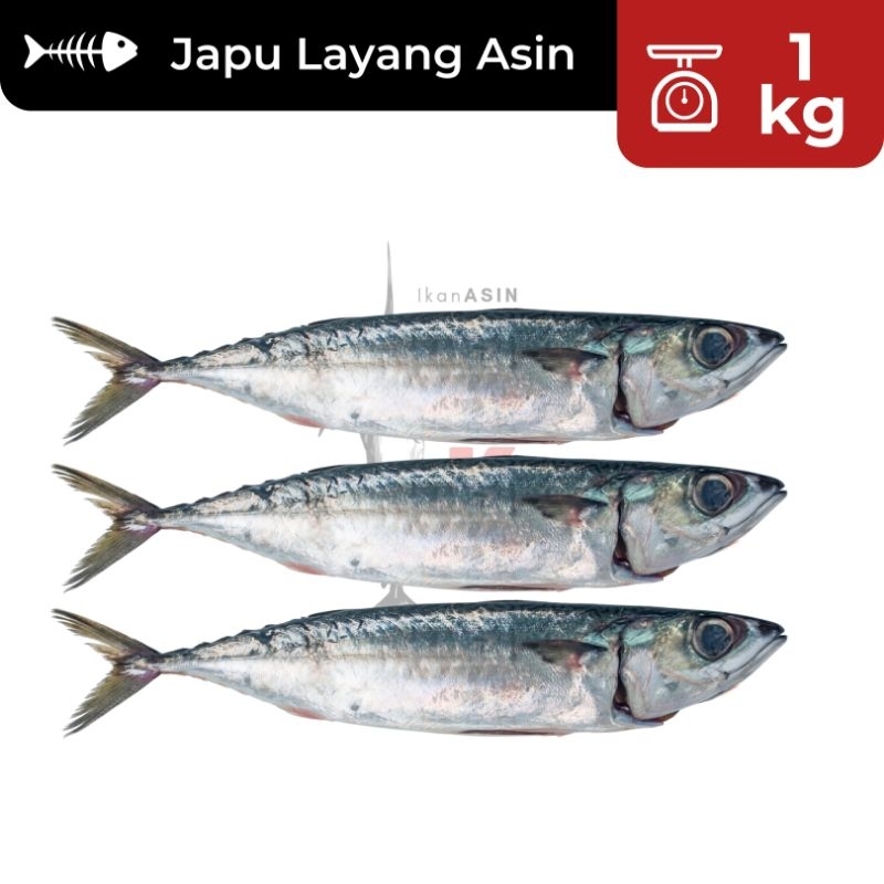 

1kg Ikan Asin Japu Layang Asin SUPER / Ikan Asin Layang / Ikan Asin Murah / Ikan Asin Enak