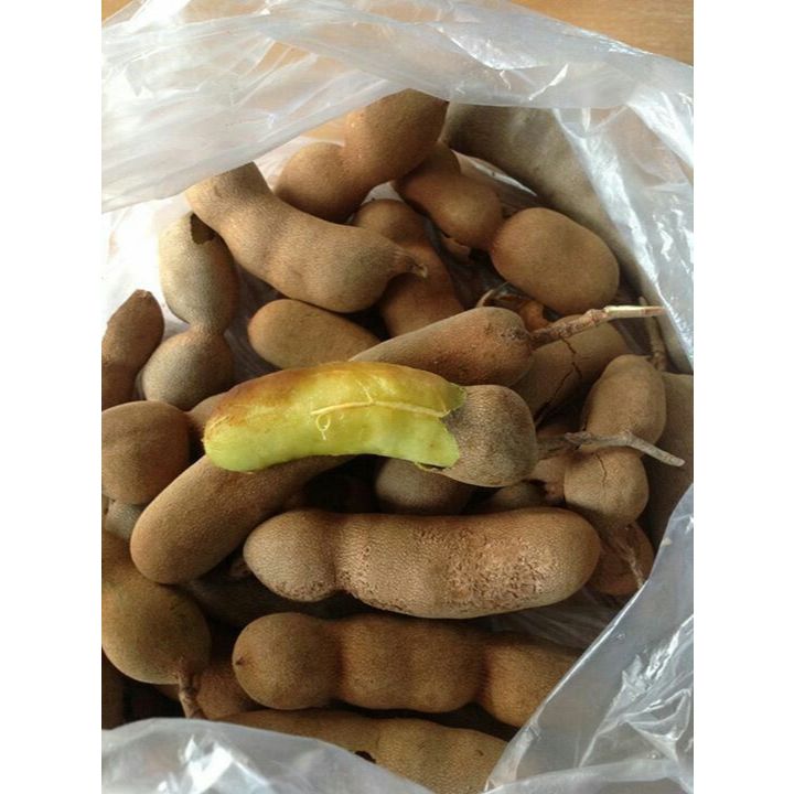 

Asam Muda 50gr
