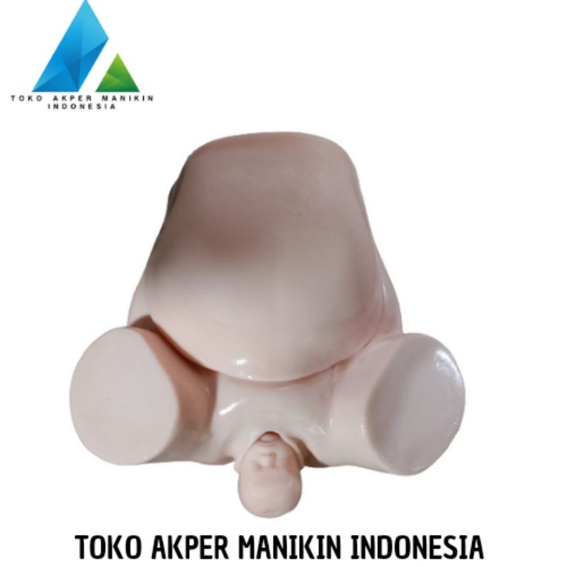 ALAT PERAGA PANGGUL MELAHIRKAN | PHANTOM MANIKIN PANGGUL MELAHIRKAN SILICON