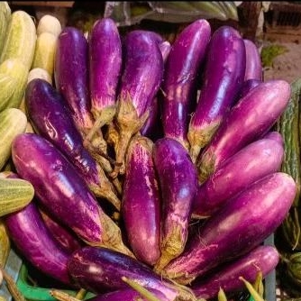 

Terong ungu promo hari ini 500grm