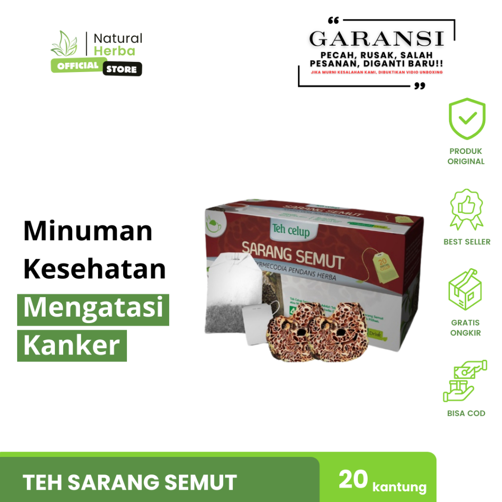 

Minuman Kesehatan Mengatasi Kanker Teh Herbal Sarang Semut