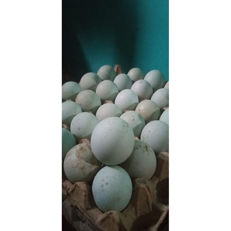 

telur bebek pangonan