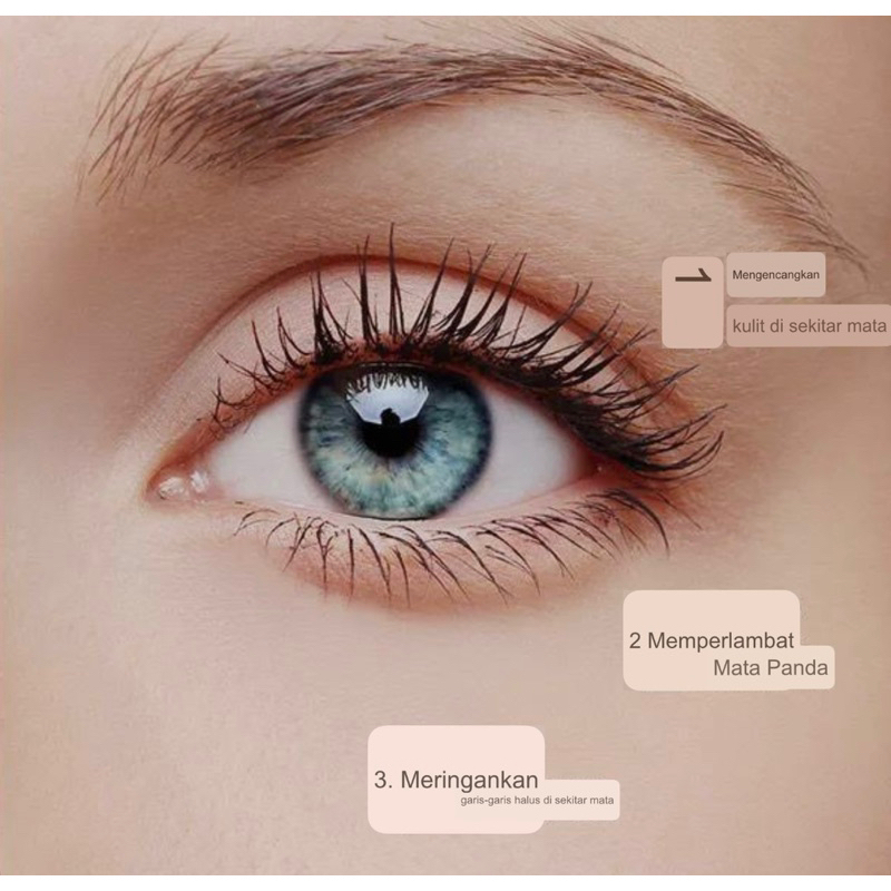 

MPS-058 [1 BUTIR] PREMIUM EYE CARE - MIDDLE KOREA ORIGINAL 100% SERUM BAWAH MATA PANDA KANTUNG MATA GARIS HALUS