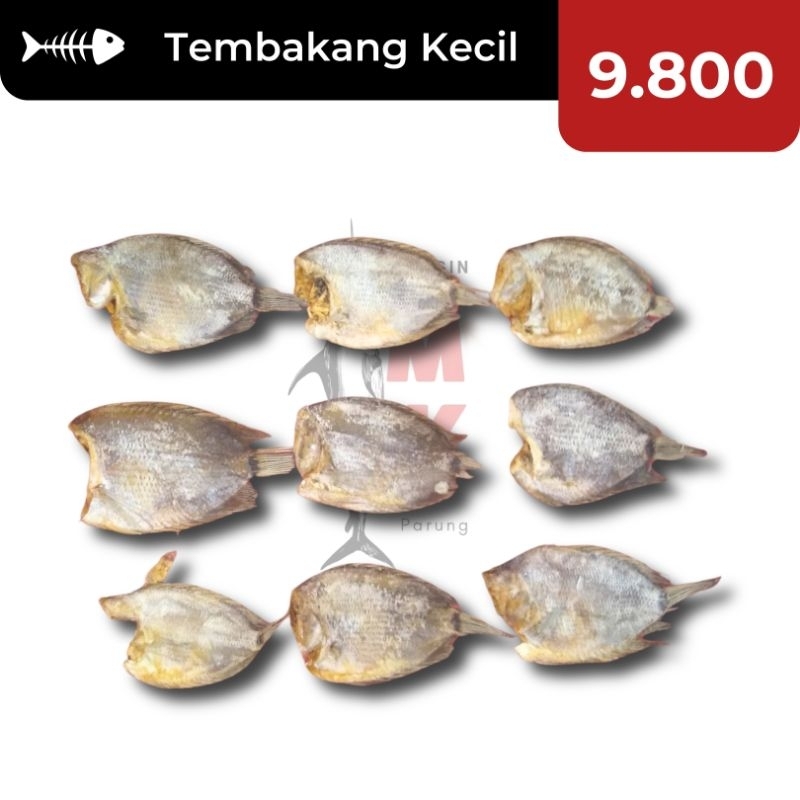 

ECERAN!!! 10k Tembakang Kecil SUPER / Ikan Asin Tembakang / Ikan Asin Tambak / Ikan Asin Murah / Ikan Asin Enak