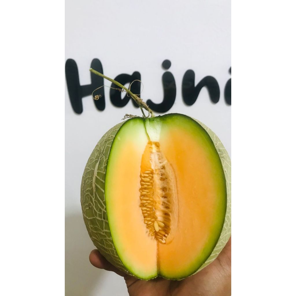 

Melon Manis Segar 1 Pcs