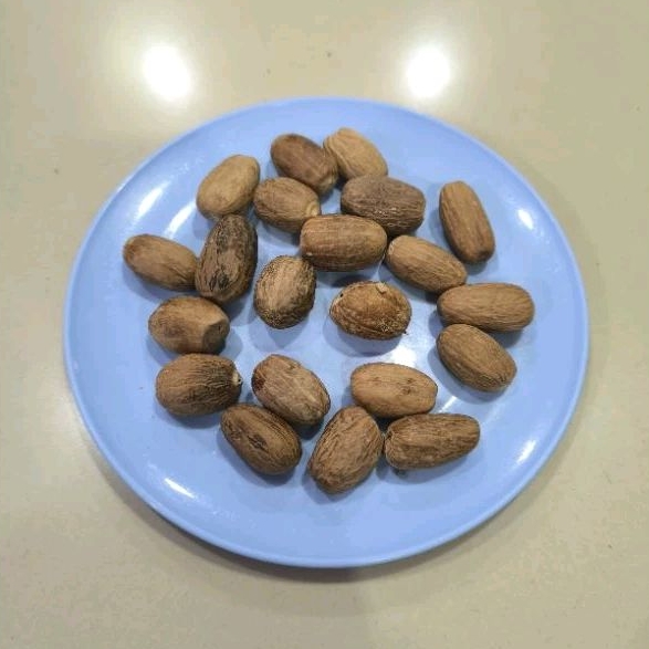 

Biji pala bijian lonjong 5biji 15rb