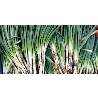 

Daun Bawang 100 gram