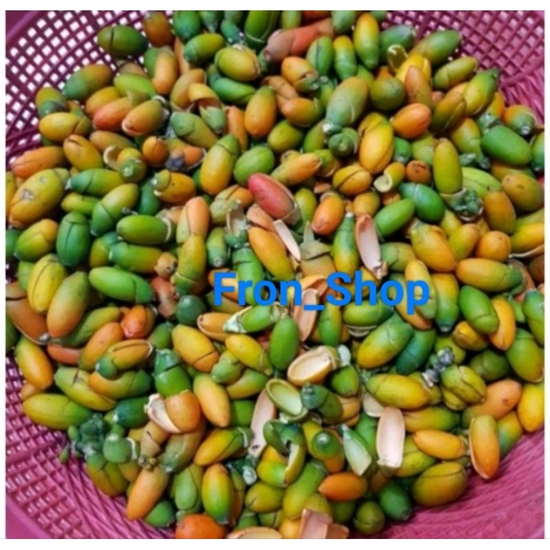 

Kulit Melinjo Mentah Segar 1Kg ( Melinjo Sayur Asam)