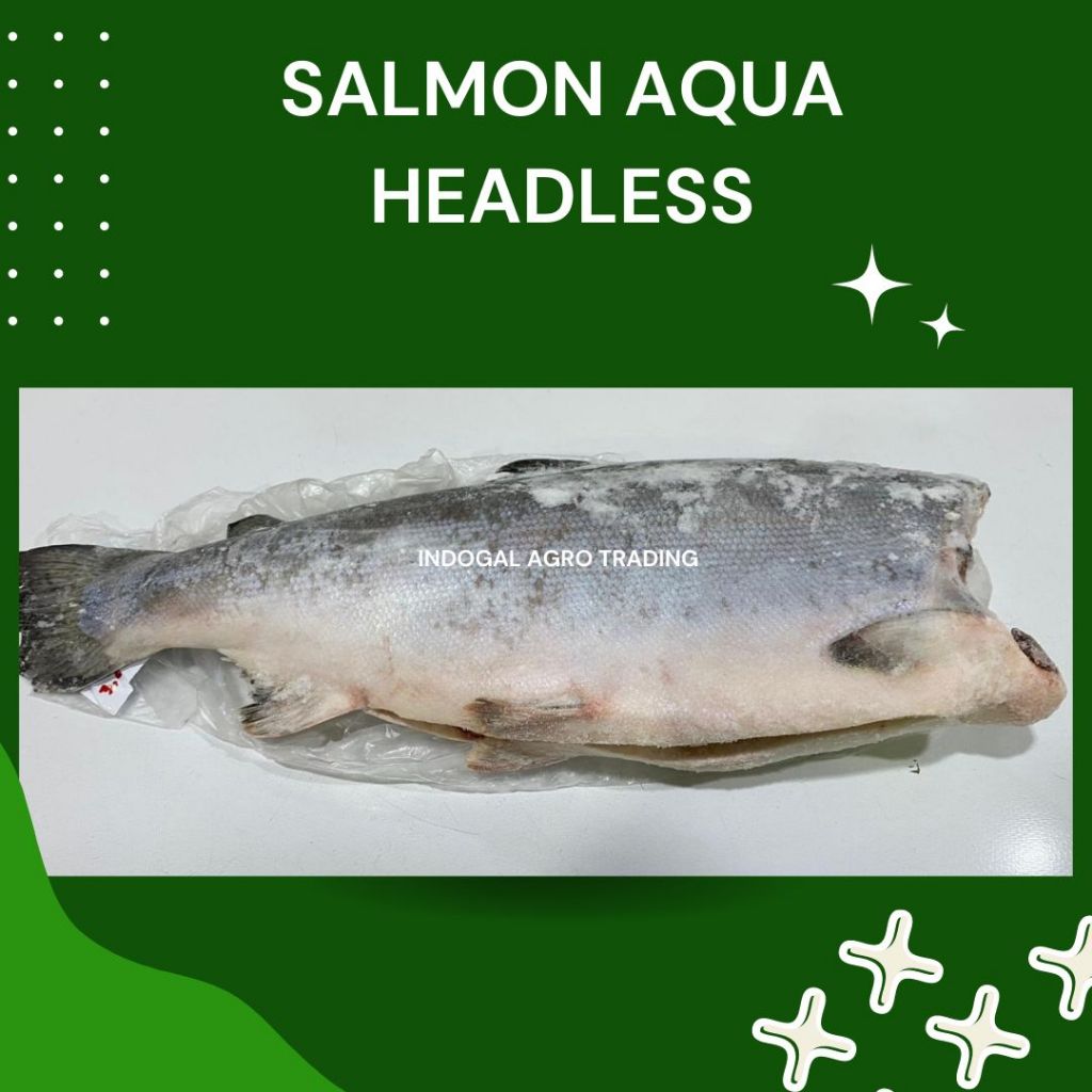 

SALMON UTUH / SALMON HEADLESS - Ekoran 3-4kg/ekor