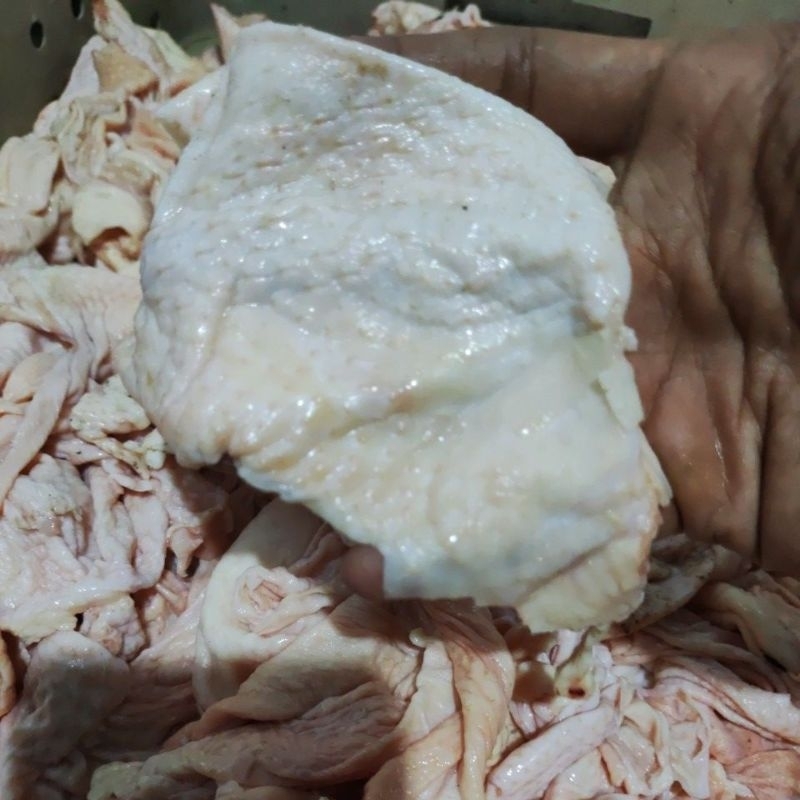 

KULIT BODY FRESH 1KG