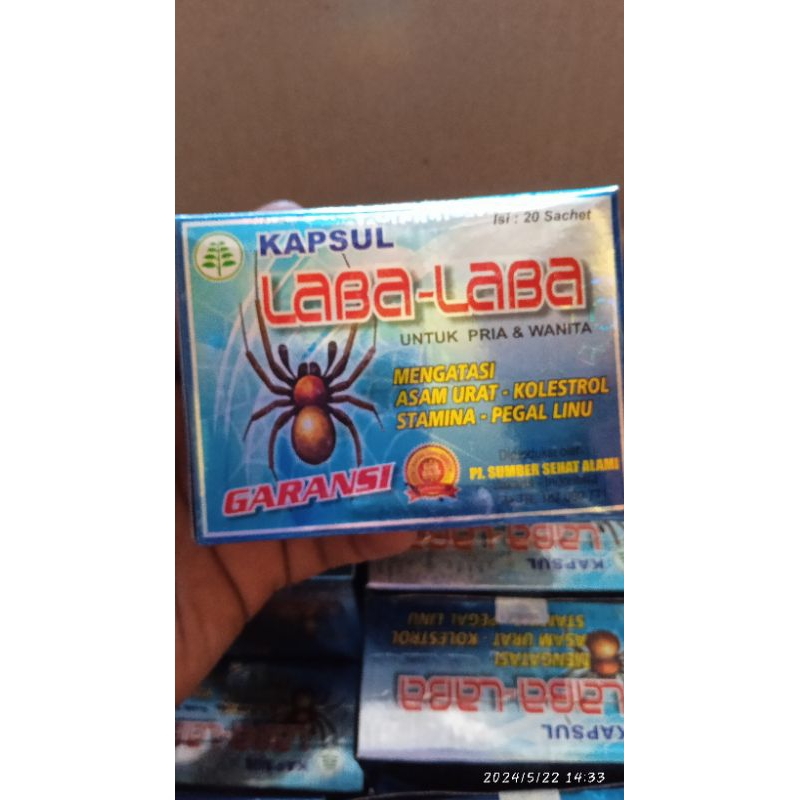 kapsul laba laba