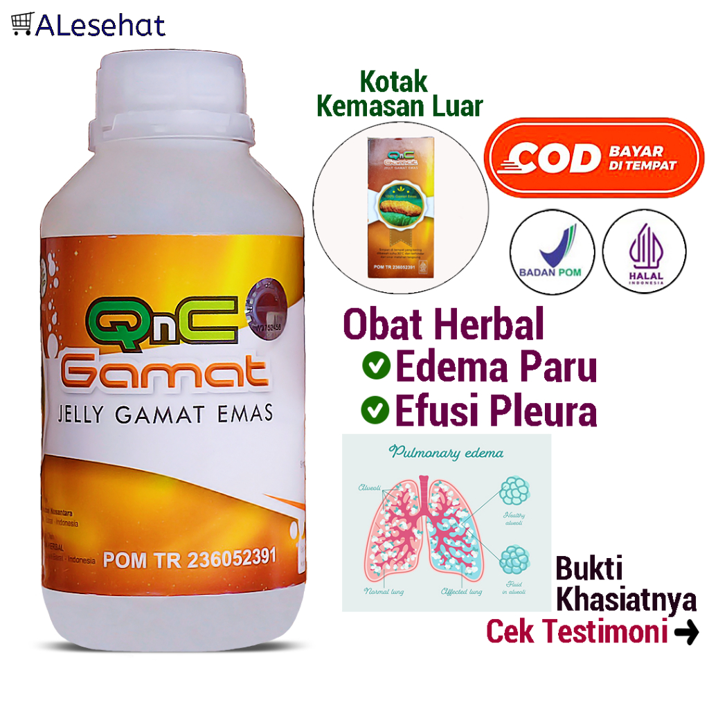 Obat Edema Paru & Efusi Pleura Herbal Qnc Jelly Gamat
