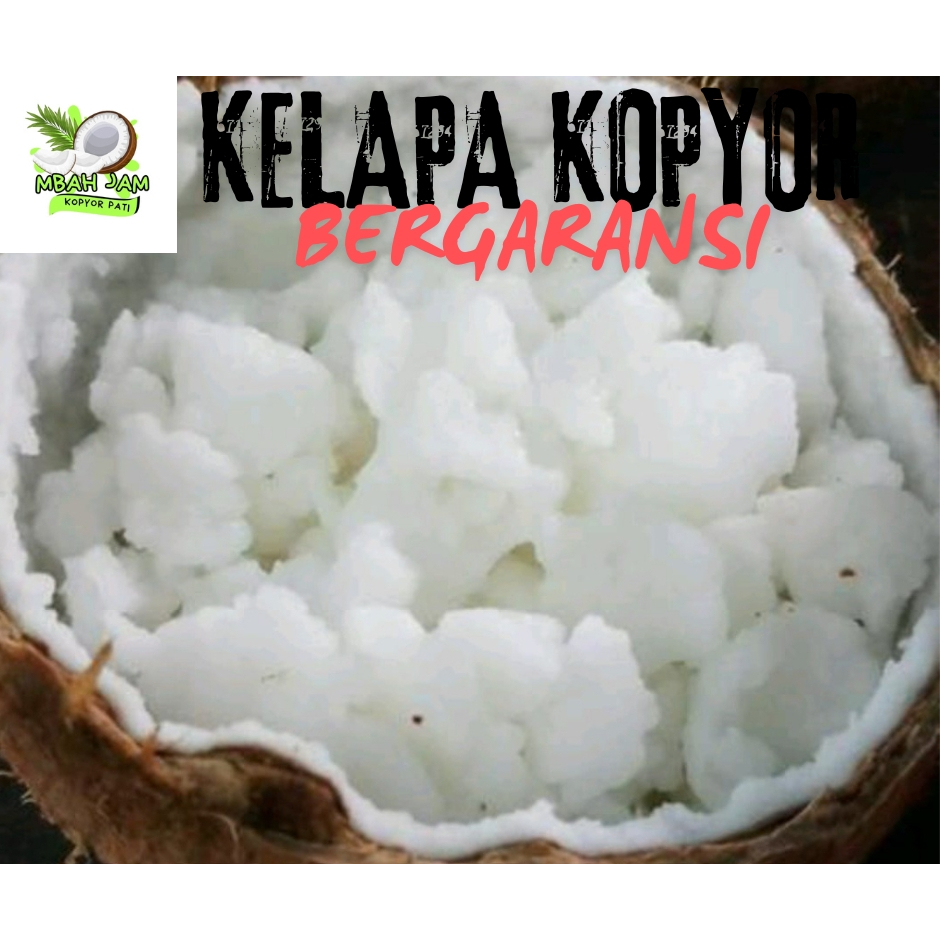 

kelapa Kopyor size 47-48 CM