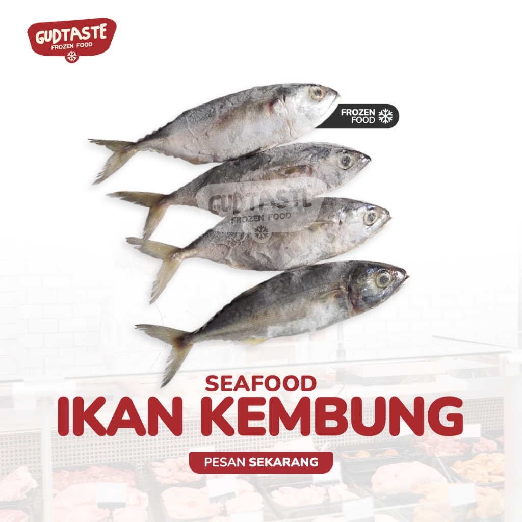 

Ikan Kembung 500-600 Gram - Kembung Banyar - Gombong - Bulus Lake - Seafood - Jual Ikan - Surabaya
