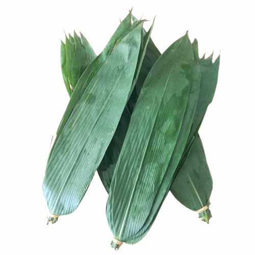 

KUKURING Daun Bambu Segar Pilihan herbal dan bungkus bacang 500gr