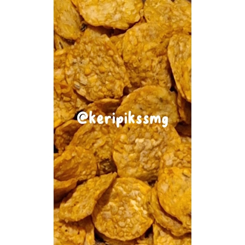 

keripik tempe rasa daun jeruk 250 gram