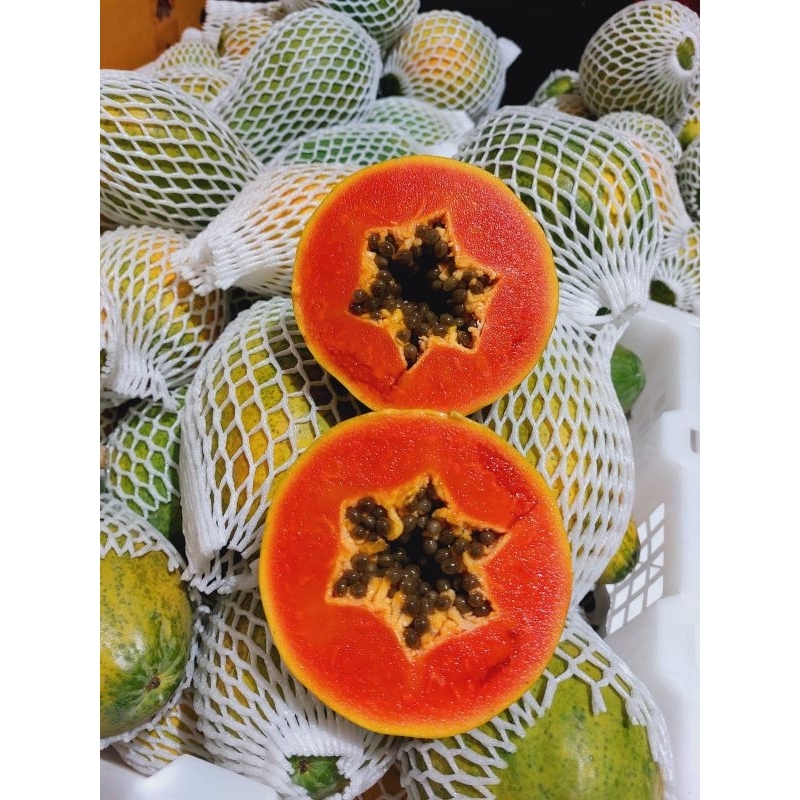PEPAYA HAWAI - PEPAYA MADU - PEPAYA SOLO (1KG)