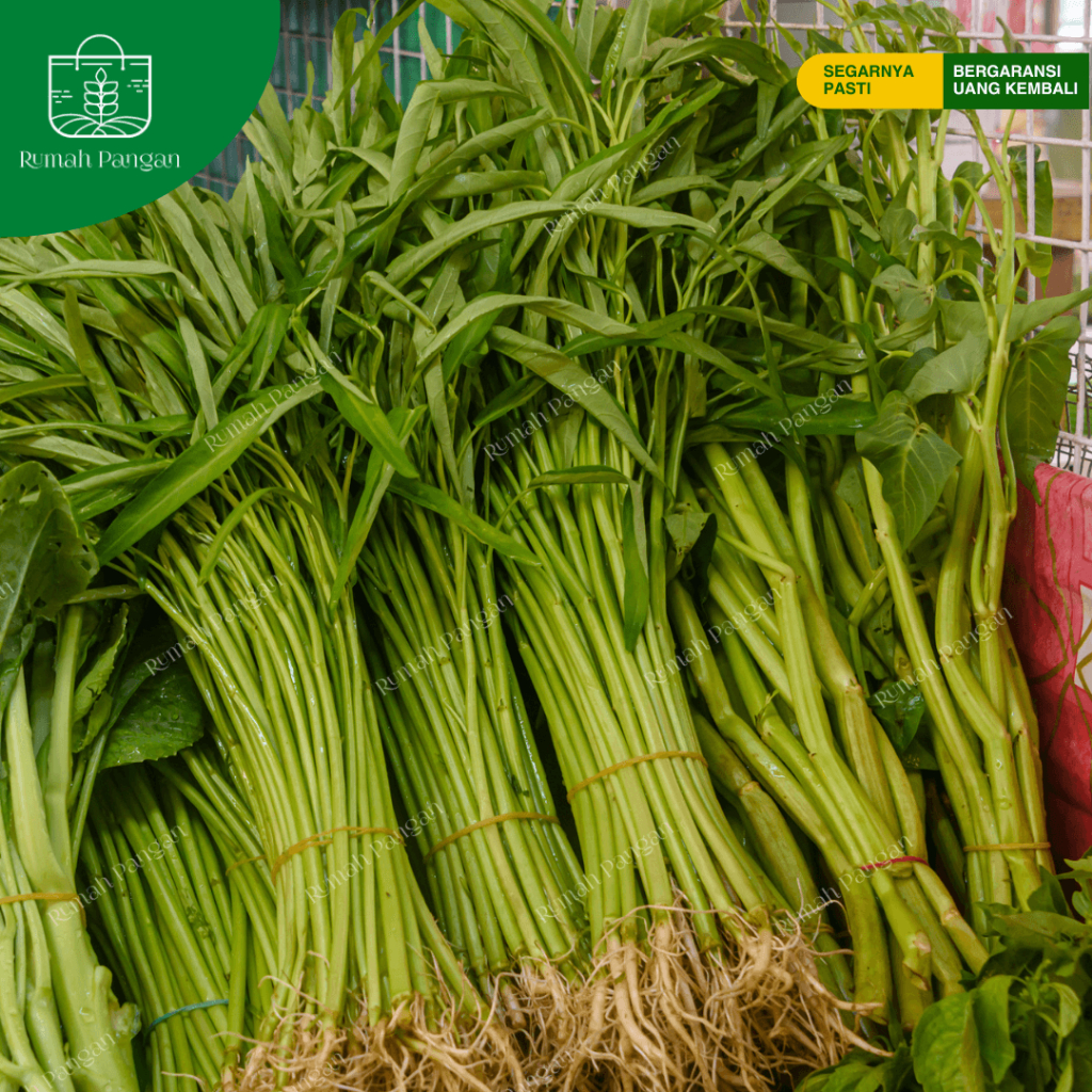 

Kangkung Per Ikat