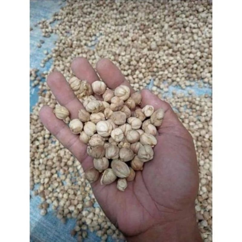 

Kapulaga Kering isi 100gr/Kapol kering