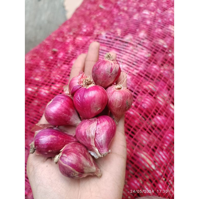 

500gram Bawang Merah PACKING DIJAMIN AMAN MENGGUNAKAN DUS