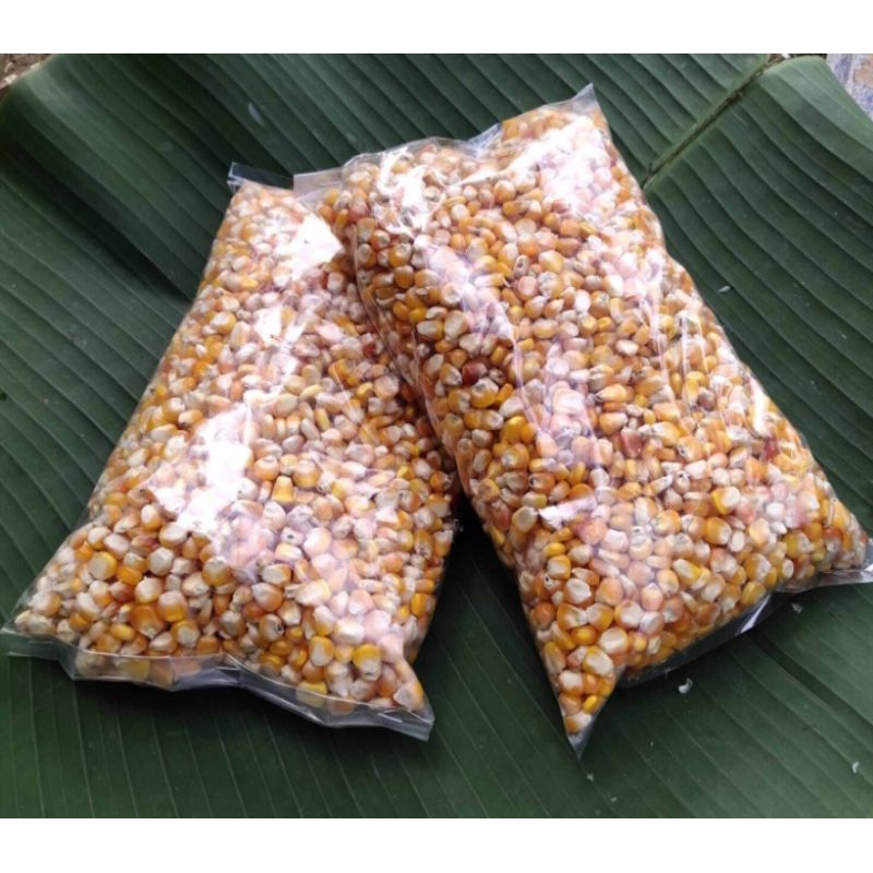

Jagung Kering Jagung Lokal Berkualitas Steril