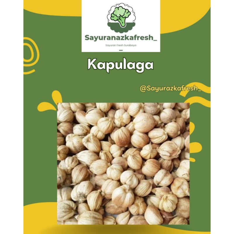 

Kapulaga [3pcs]
