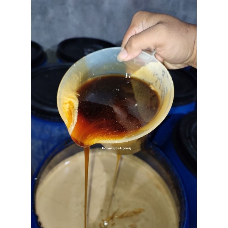 

Forcysn 1 Kg Madu Mangga Madu Asli 100 % Madu Murni Raw Honey