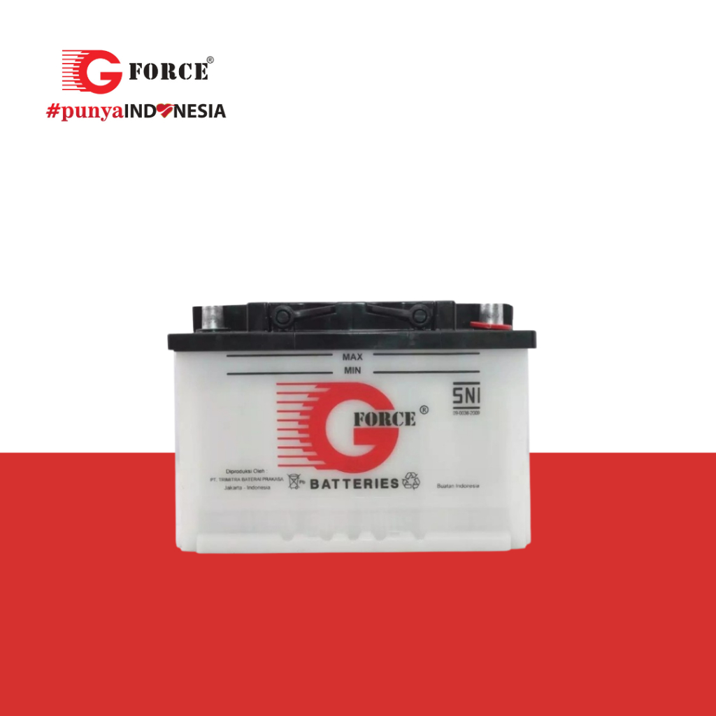 G Force Aki Mobil Conventional 58010/580 010 080 80AH 12V