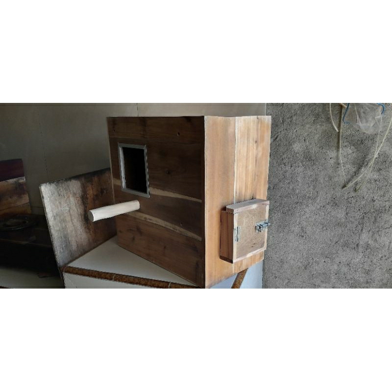 sarang burung / glodok burung kakatua, nuri bayan dan medium parrot