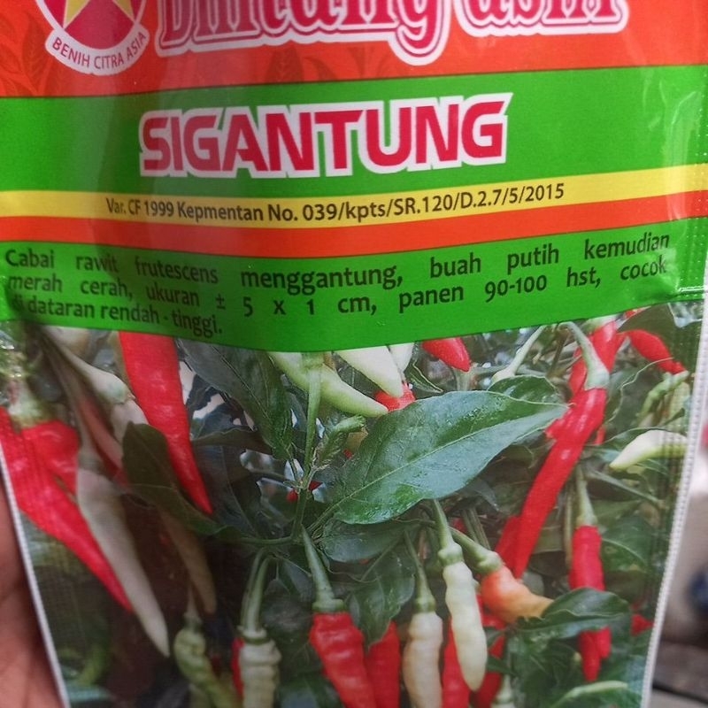 Benih Cabe Rawit Setan Sigantung Repacking isi 100 Biji