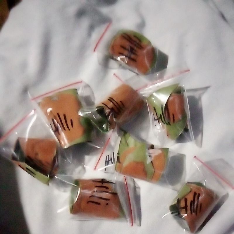 spora platycerium hilli